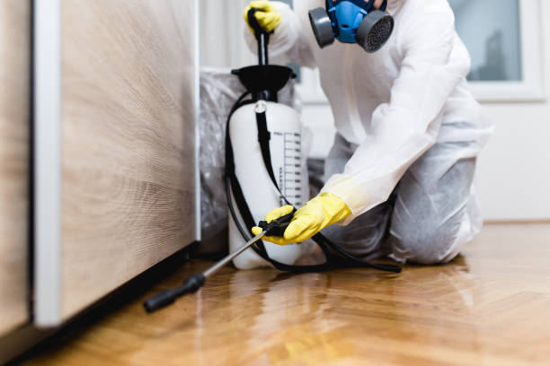 Best Best Pest Control Companies  in Tyro, NC