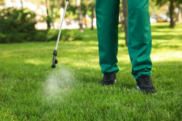 Best Insect Control  in Tyro, NC