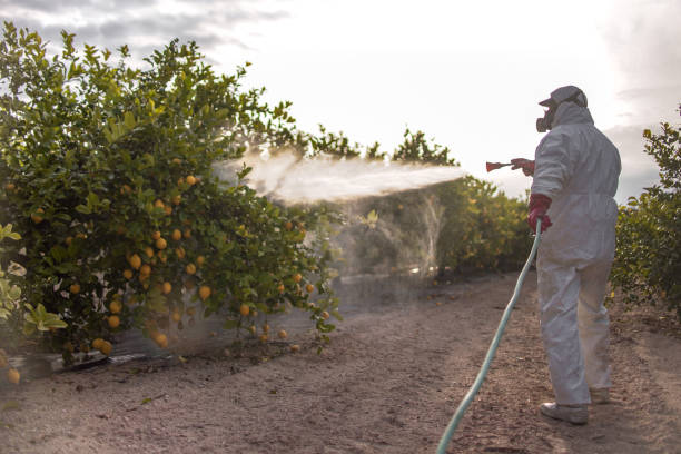 Best Exterminator Services  in Tyro, NC
