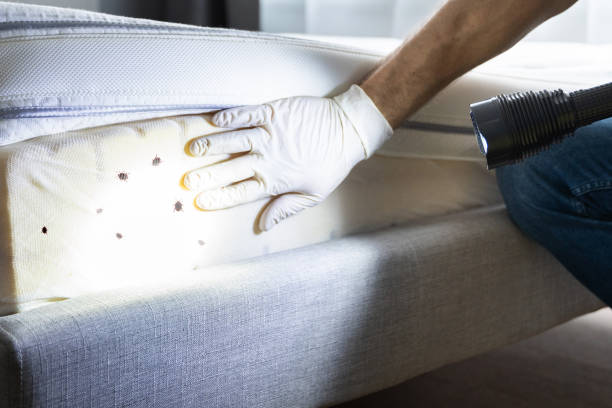 Best Pest Inspection Near Me  in Tyro, NC