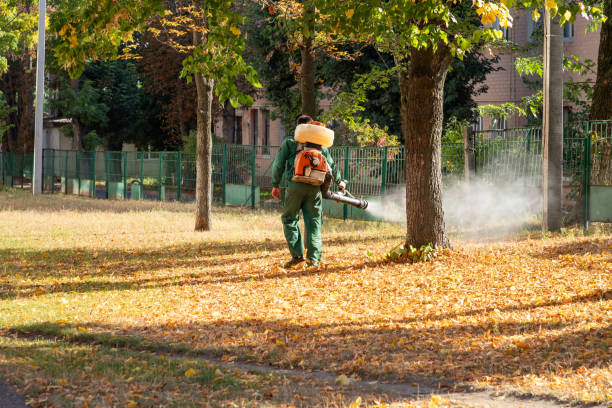 Best Wasp Removal Services  in Tyro, NC