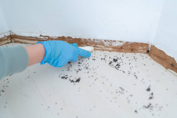 Best Pest Removal Services  in Tyro, NC