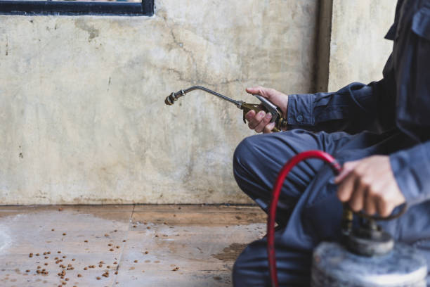 Best Affordable Pest Control Services  in Tyro, NC