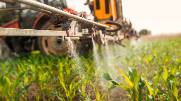 Best Wildlife Control Services  in Tyro, NC
