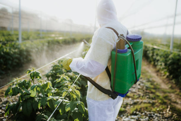 Best Pest Inspection Near Me  in Tyro, NC